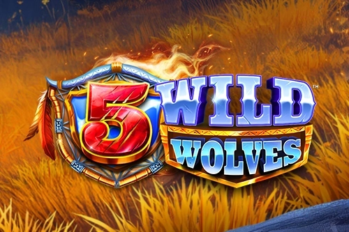 5 Wild Wolves pokie