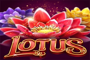 Lotus pokie