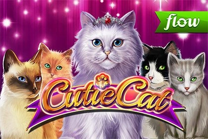 Cutie Cat pokie