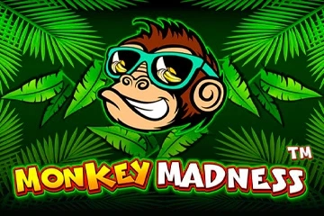 Monkey Madness pokie
