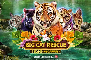 Big Cat Rescue Megaways pokie